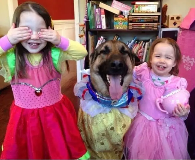 kids-and-dog-in-costume-adorable-photos