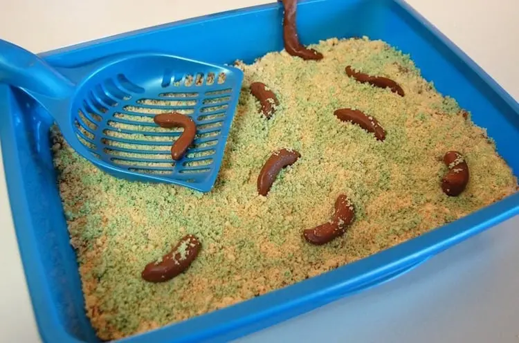 litter-box-themed-cake-horrible-looking-foods