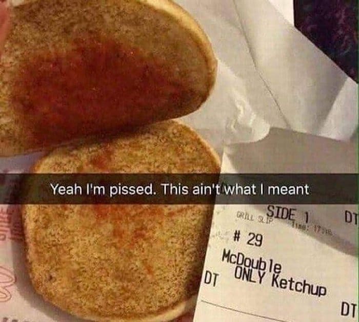 only-ketchup-on-my-burger-hilarious-following-simple-instructions