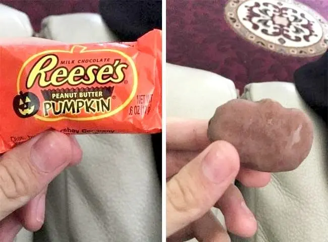 peanut-butter-pumpkin-deformed-ruthless-marketing-schemes