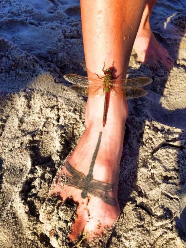 real-dragonfly-lands-next-to-a-tattoo-extraordinary-things