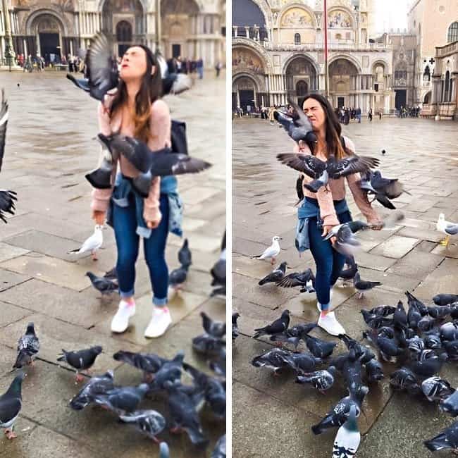 selfie-with-birds-gone-wrong-crazy-ways-to-get-a-perfect-photo