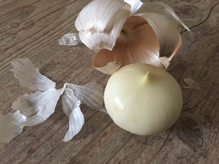 single-bulb-garlic-unbelievable-real-photos