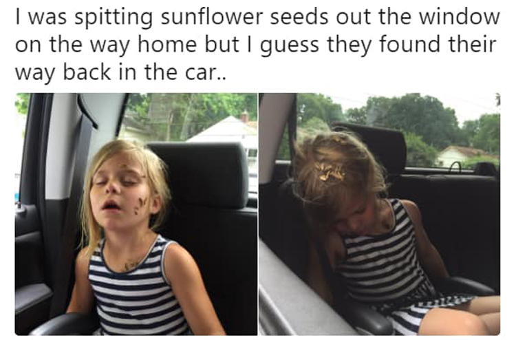 sleeping-girl-catches-sunflower-seeds-life-fails