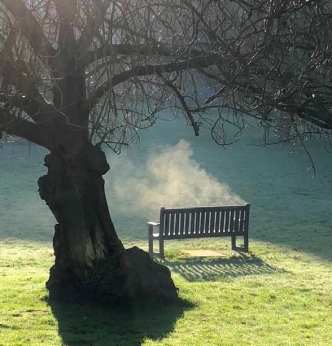 smoking-bench-scary-photos
