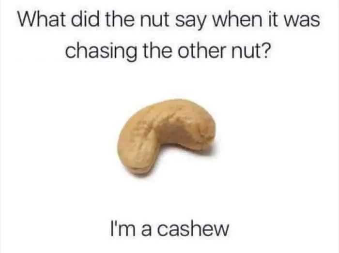 this nut will catch you