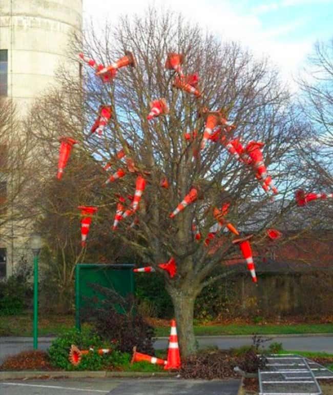 traffic-cones-stuck-to-a-tree