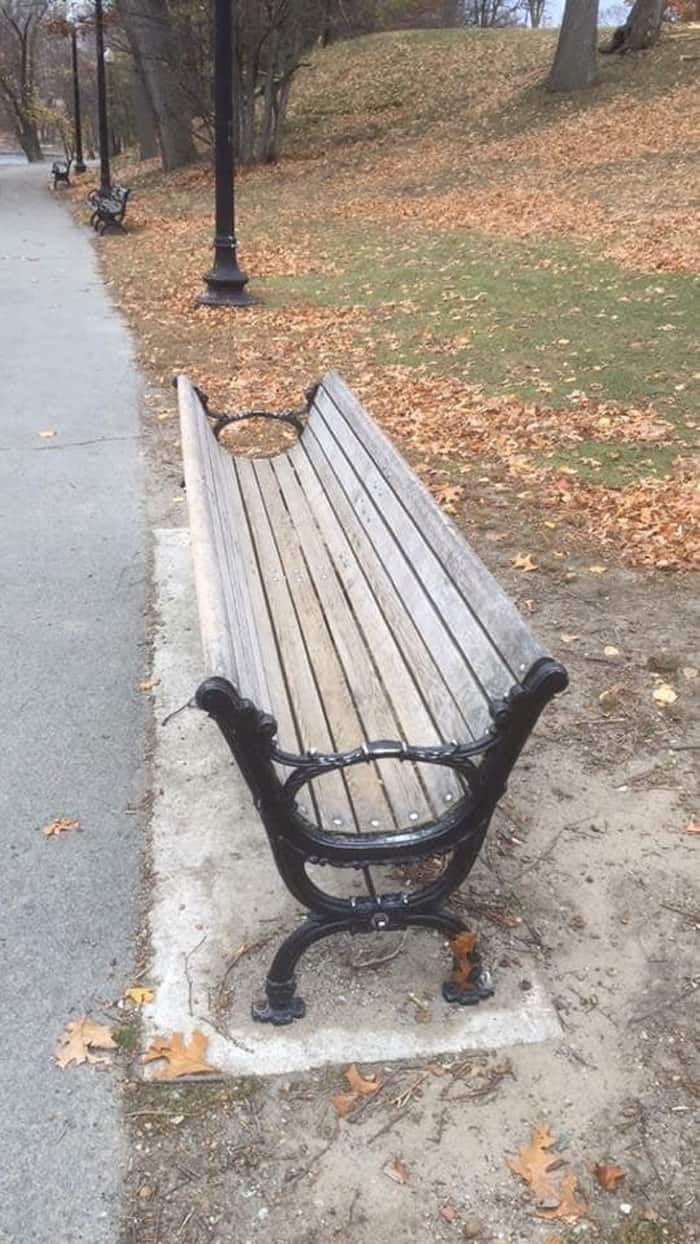weird-bench-confusing-photos