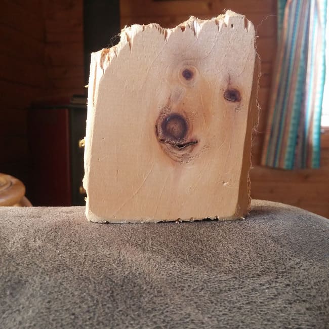 wood-plank-looks-like-dog-how-whimsical-people-see-things