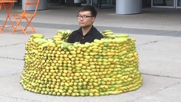 banana-fort-nonsensical-photos