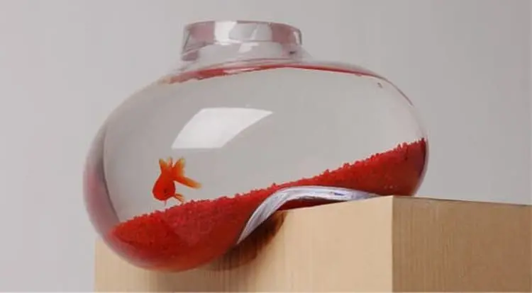 blob-bowl-for-fish-pet-hilariously-unnecessary-things