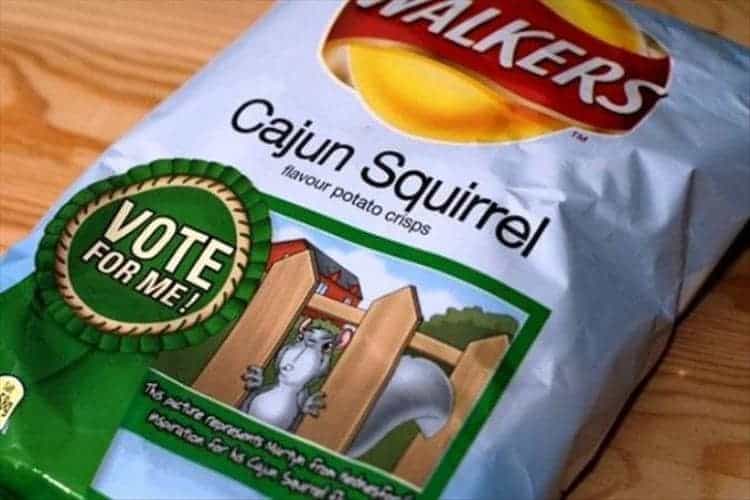 cajun-squirrel-potato-chips-hilariously-unnecessary-things