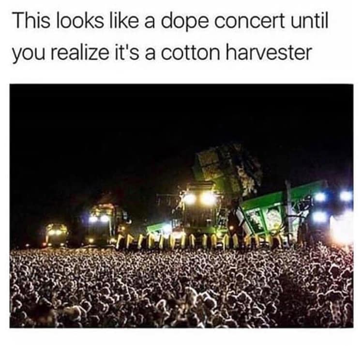 concert-or-cotton-harvest-unforeseen-hilarity