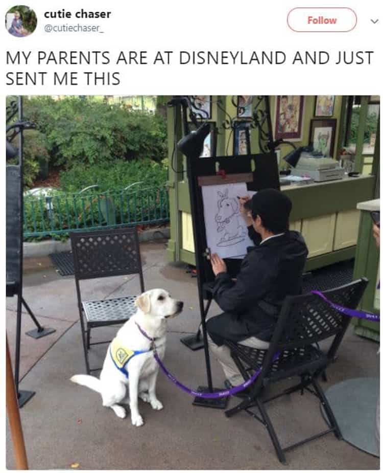 dog-caricature-at-disneyland-visually-pleasing-photos