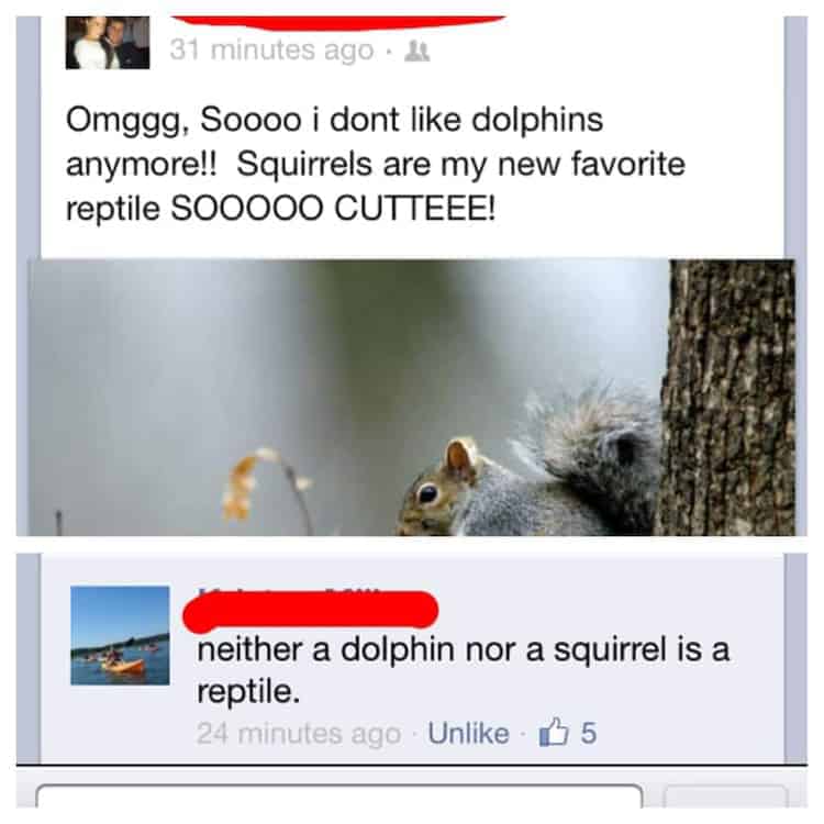 dolphins-and-squirrels-are-reptiles-hysterically-funny-photos