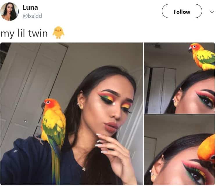 eyeshadow-matches-bird-feathers-visually-pleasing-photos