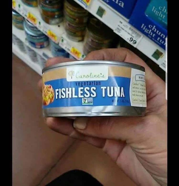 fishless-tuna-baffling-pics