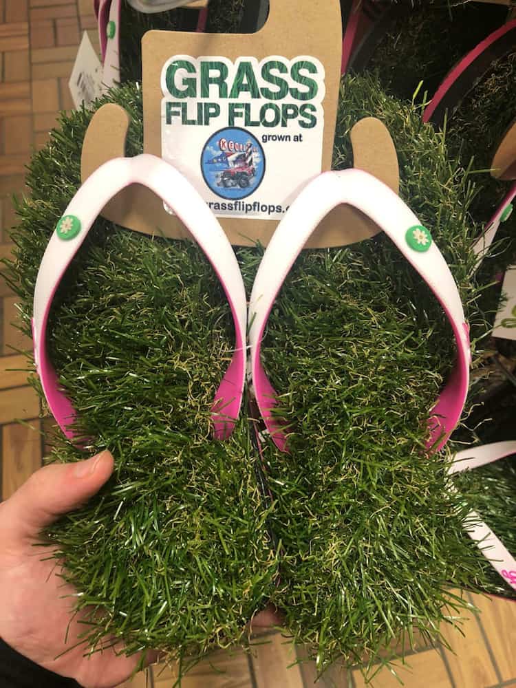 grass-flipflops-weird-things