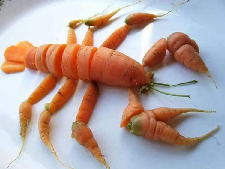 lobster-carrot-hilarious-diet-fails