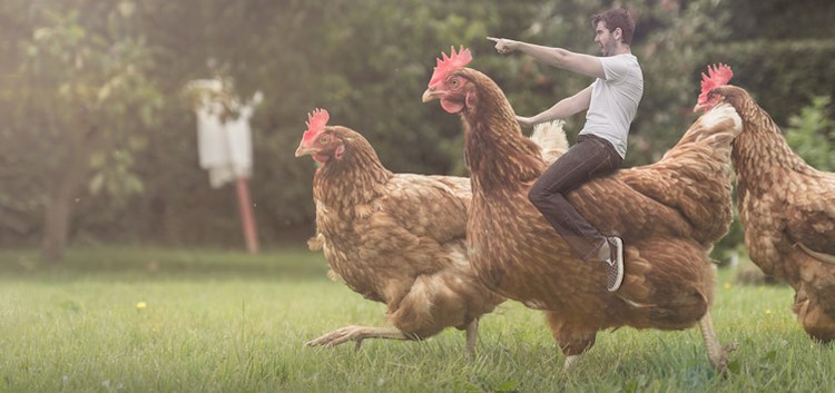 photoshop-man-riding-chicken-silly-things-bored-people-do