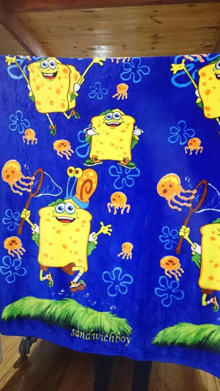 sandwich-boy-spongebob-squarepants-hilarious-copycats