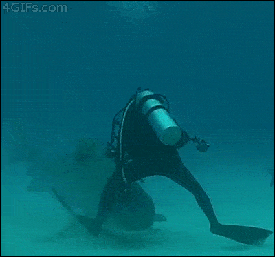 scuba-diver-almost-bitten-by-shark-craziest-close-calls