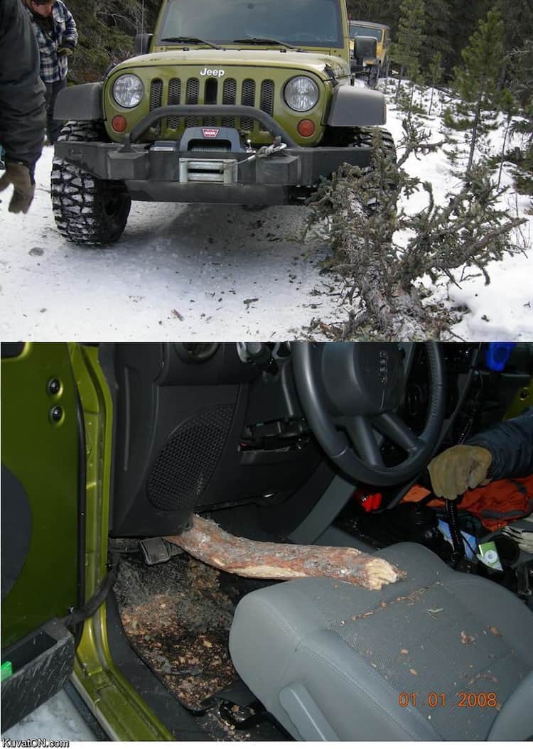 sharp-tree-trunk-stabbing-a-jeep-craziest-close-calls