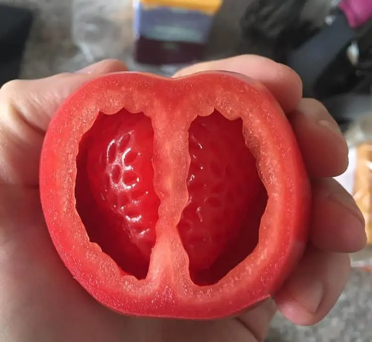 strawberry-inside-a-tomato-impressive-photos