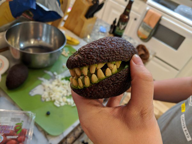 avocado-dinosaur-impressive-jokesters