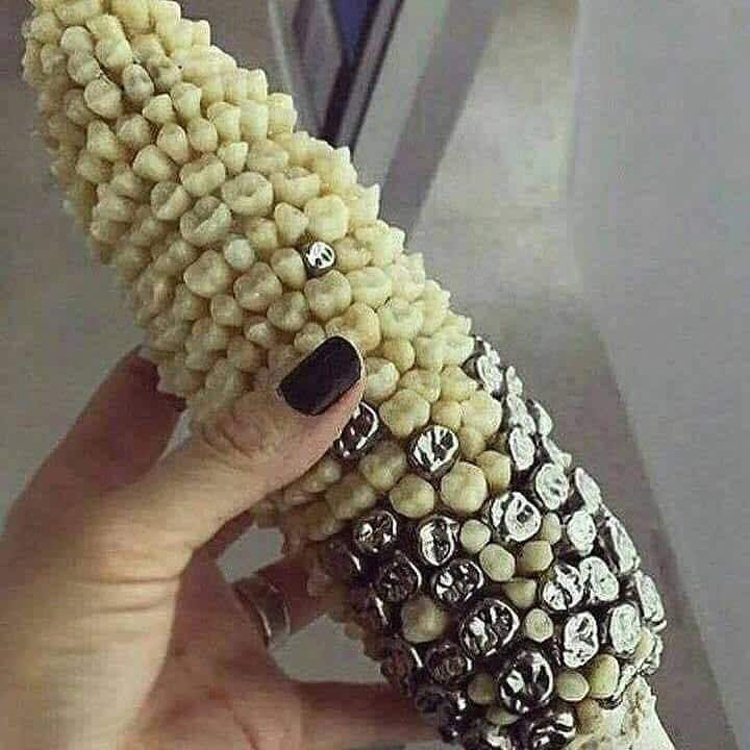 corn-teeth-hilariously-atrocious-things