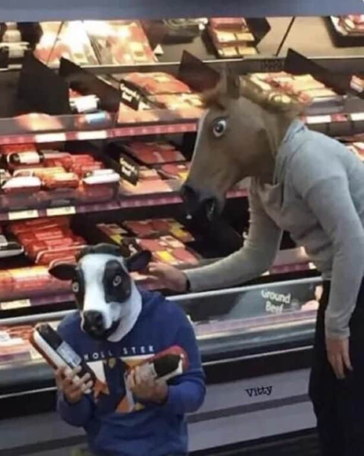 horse-consoles-cow-looking-at-corned-beef-stranger-things-real-world