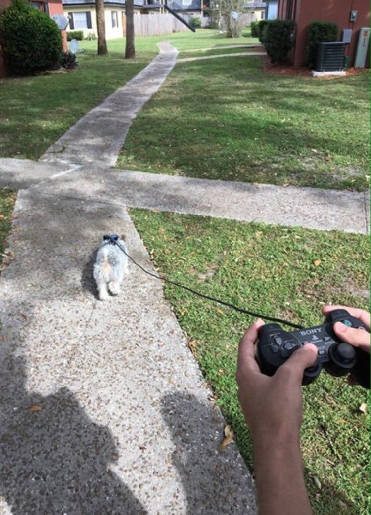 psp-controller-leash-people-tomfoolery