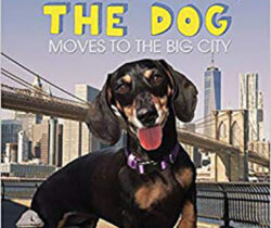 Vivian the Dog Moves to the Big City