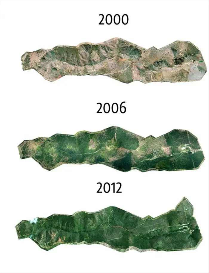 brazil forest 2000 to 2012