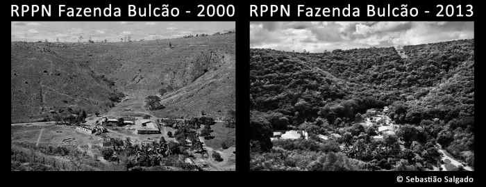 fazenda bulcao forest restoration