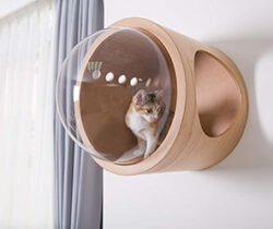 floating pet bed