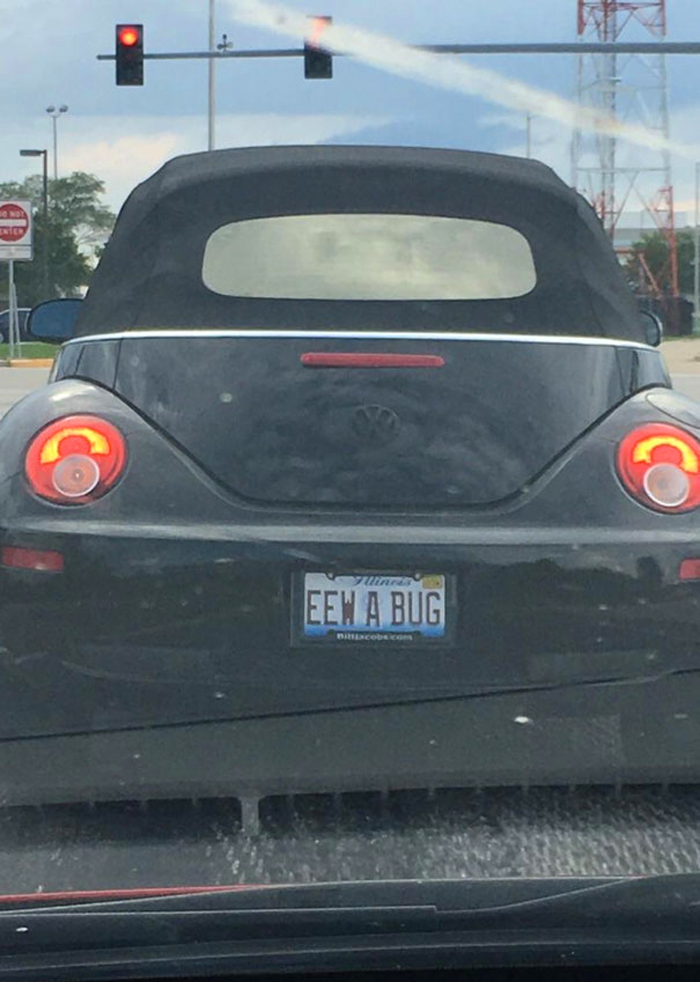 funny license plates eew bug