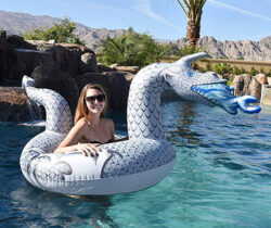 ice dragon pool float 1