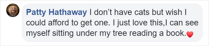indoor fake tree comment patty hathaway