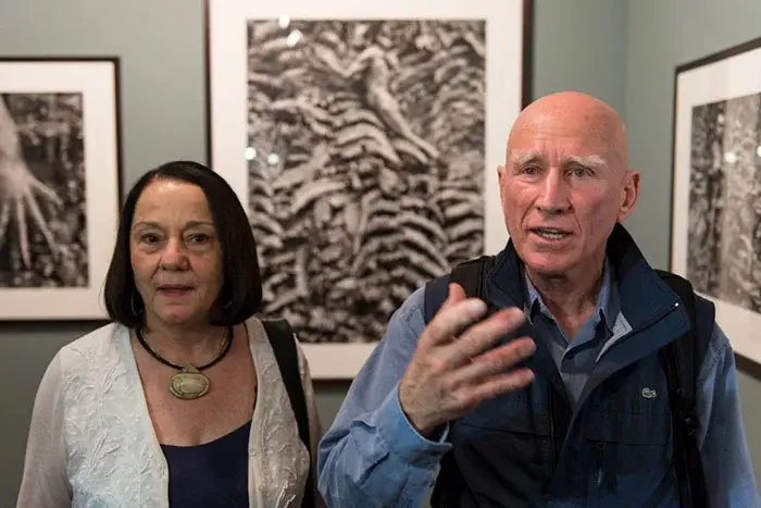 sebastiao leila salgado reforestation