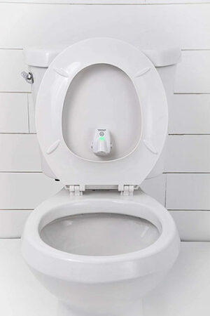 toilet aim assists