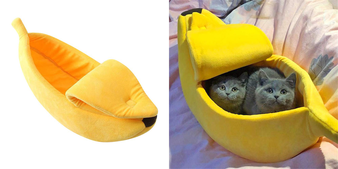 banana cat bed