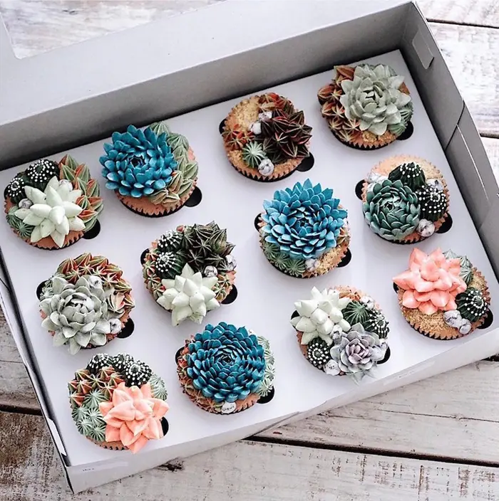 cacti cakes ivenoven