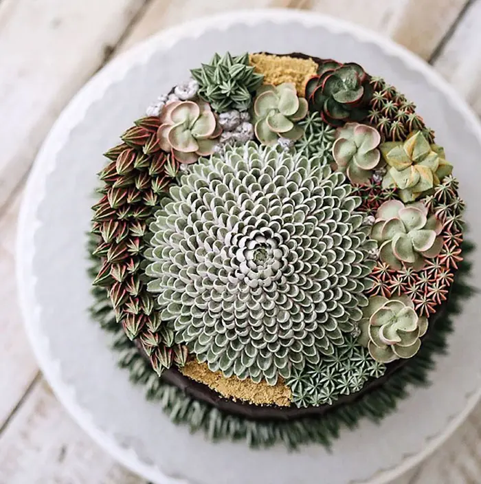 cakes that look like real succulents