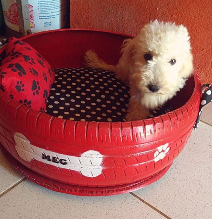 caominhas pets beds