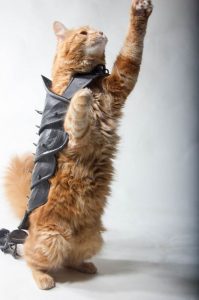 Man 3D Prints Armor For His Cat And It Looks Seriously Cool