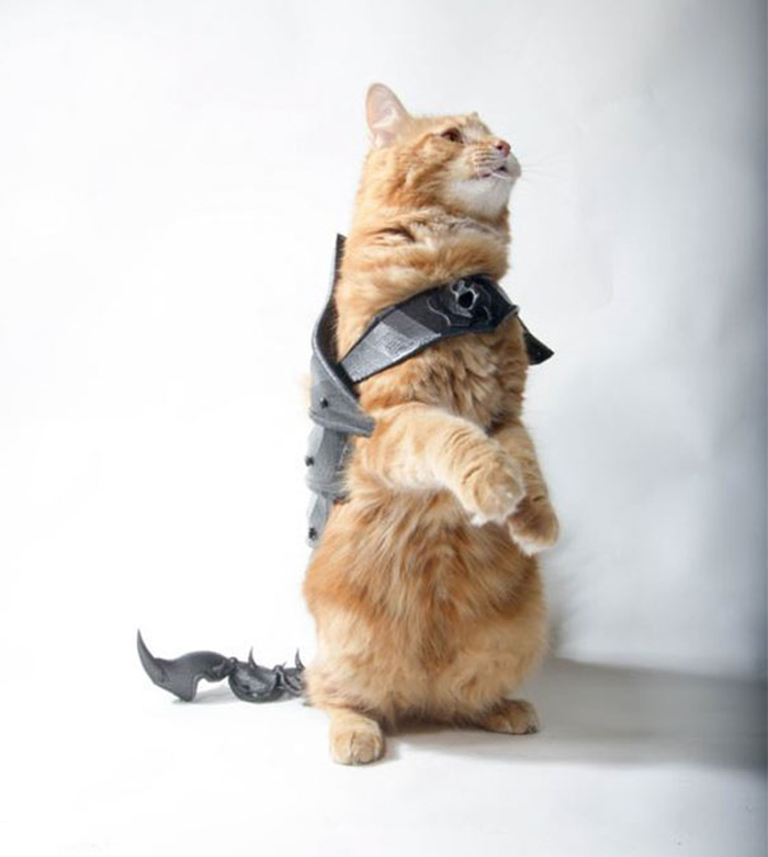 Man 3D Prints Armor For His Cat And It Looks Seriously Cool