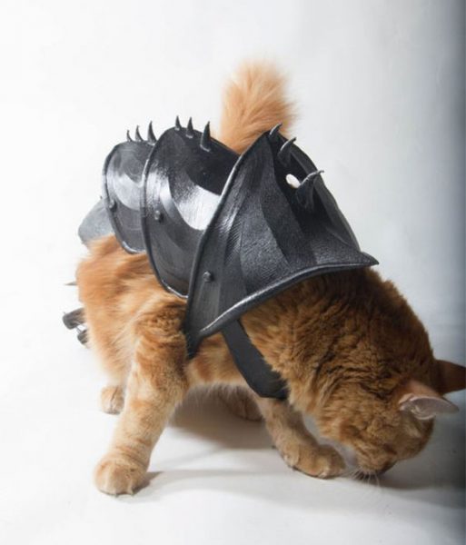 Man 3D Prints Armor For His Cat And It Looks Seriously Cool