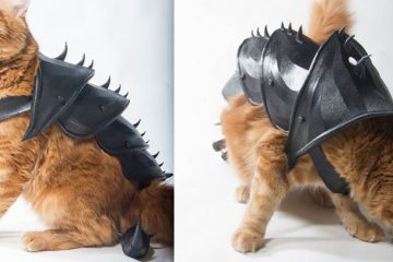 cat armor