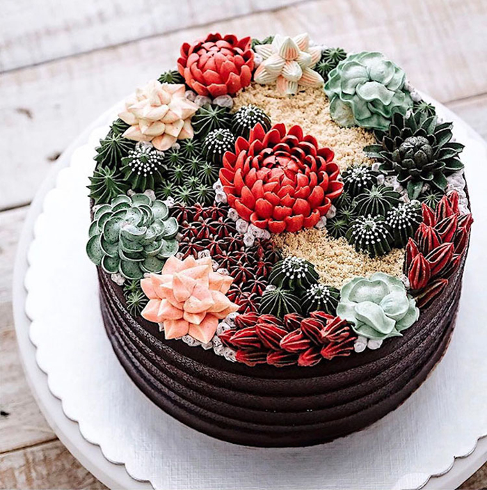 colorful succulent cakes